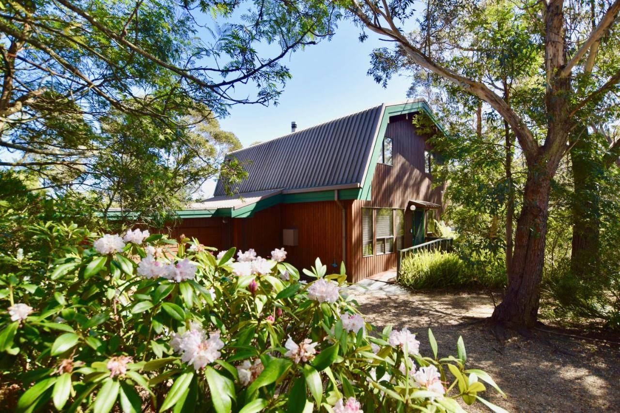 Sublime Cedar Lodge Leura Eksteriør bilde